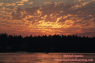 Sunrise over Lake Washington, 3 of 8