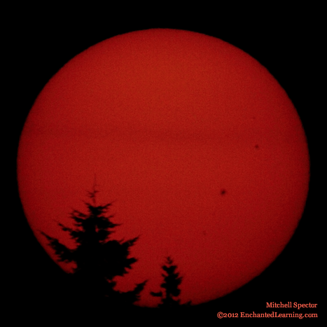 Sunspots at Sunrise