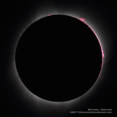 Prominences visible during totality