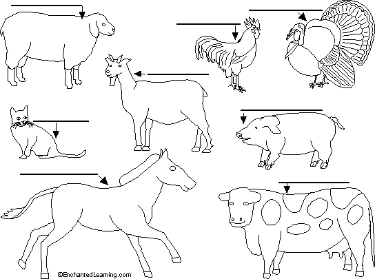 Farm animals to label