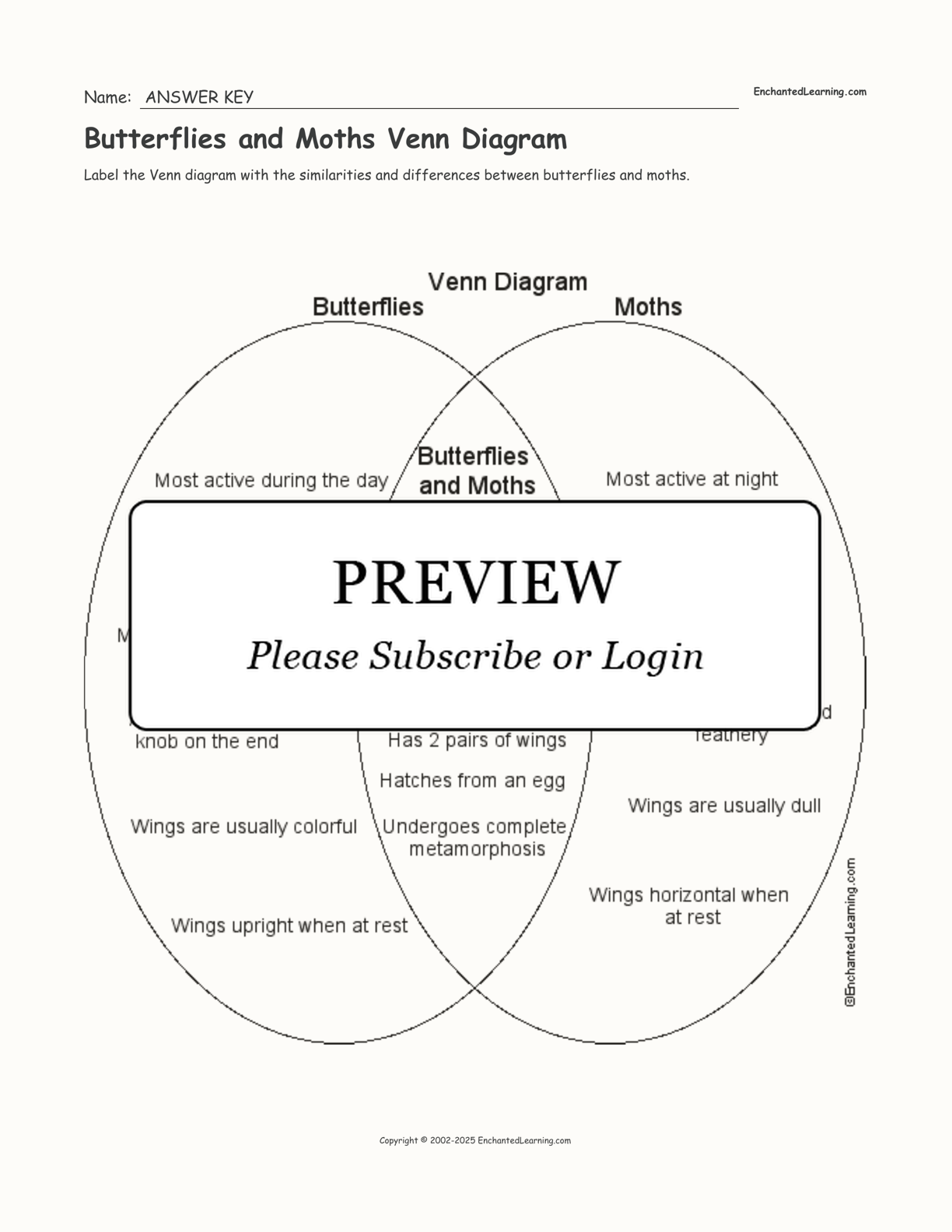 Butterflies and Moths Venn Diagram interactive worksheet page 2