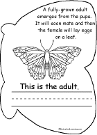 Life Cycle of a Butterfly Book, A Printable Book - EnchantedLearning.com