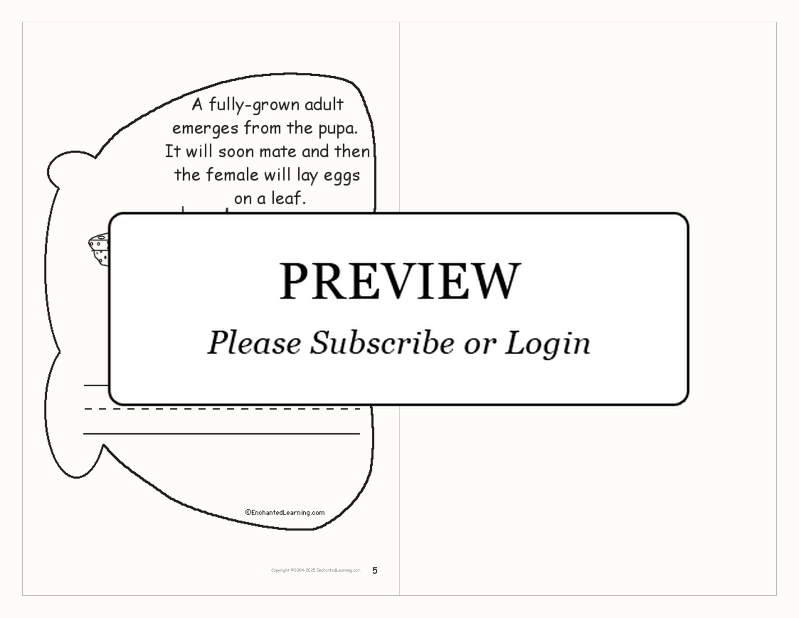 Life Cycle of a Butterfly Book interactive printout page 3