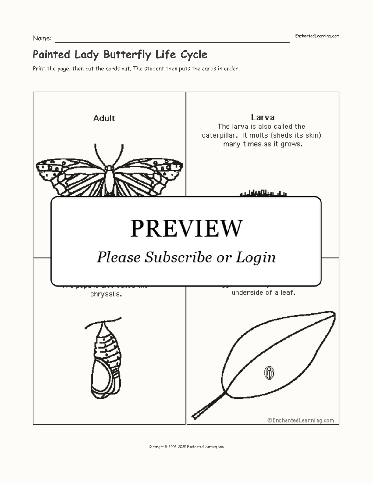 butterfly life cycle sequencing worksheet