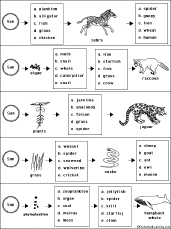 Complete The Food Chains Worksheet 2 Enchantedlearning Com