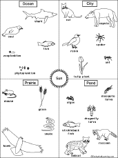 Search result: 'Food Chain - Fill in the arrows quiz'