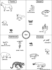 Search result: 'Food Chain - Fill in the arrows quiz #2'