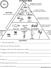 Search result: 'Food Web - Information and Questions Worksheet'