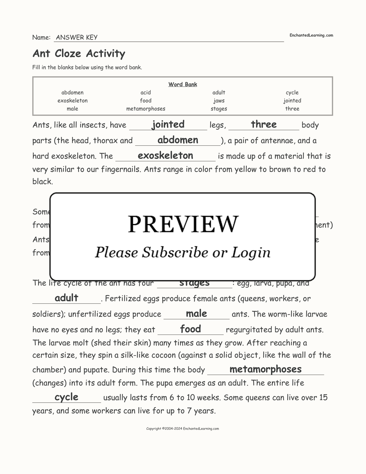 Ant Cloze Activity interactive worksheet page 2