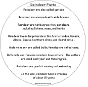 reindeer facts
