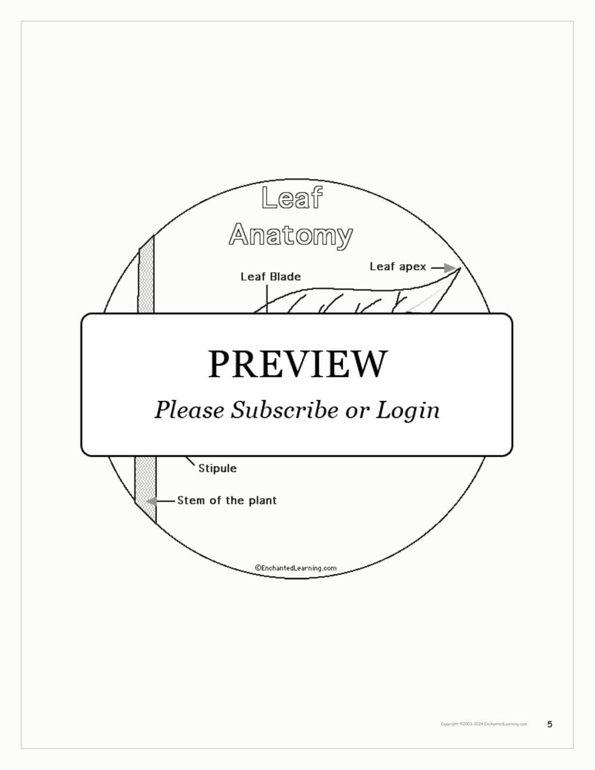 Leaf Printable Shape Book interactive printout page 5