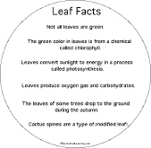 leaf facts