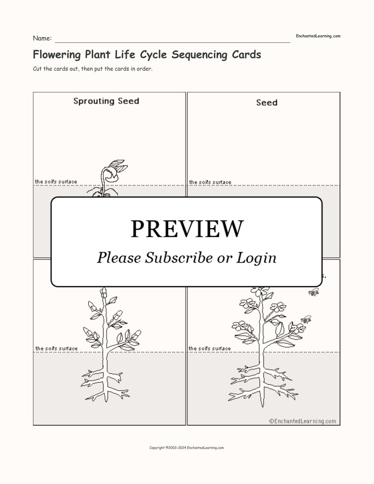 plant life cycle worksheet pdf
