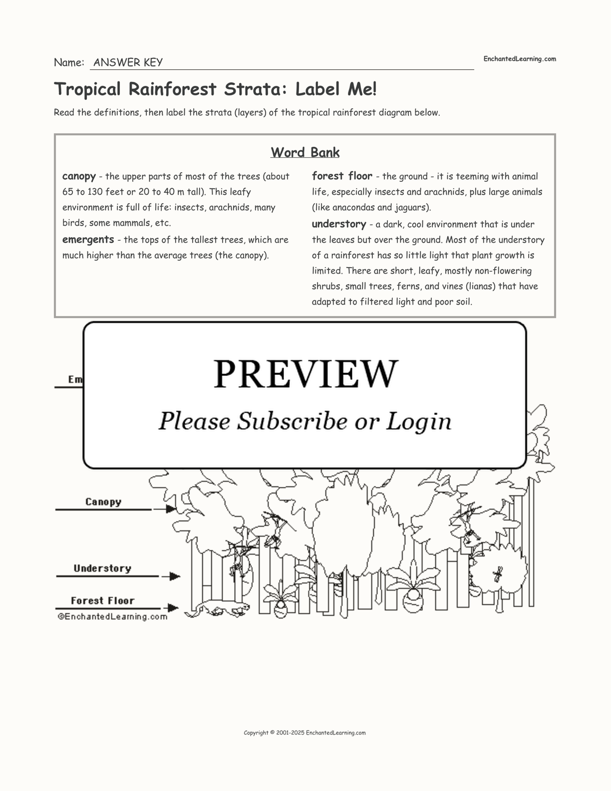 Tropical Rainforest Strata: Label Me! interactive worksheet page 2