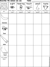 Search result: 'Which Senses Do You Use? Printout #8'