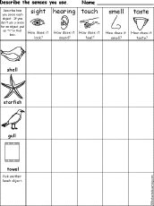 senses chart