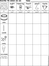 senses chart