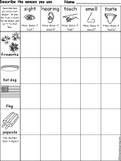 senses chart