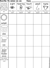 senses chart