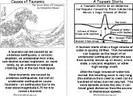 Tsunami Causes, How Tsunamis Form