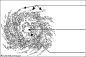 Search result: 'Quiz + Label Hurricane Diagram Printout'