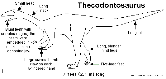 Search result: 'Thecodontosaurus Printout'