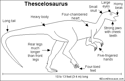 Thescelosaurus