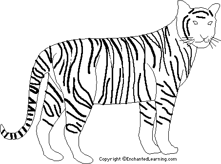Search result: 'Tiger Printout'