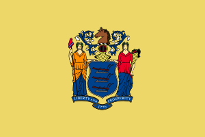 New Jersey flag