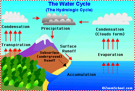 water cycle diagram labeled for teenagers