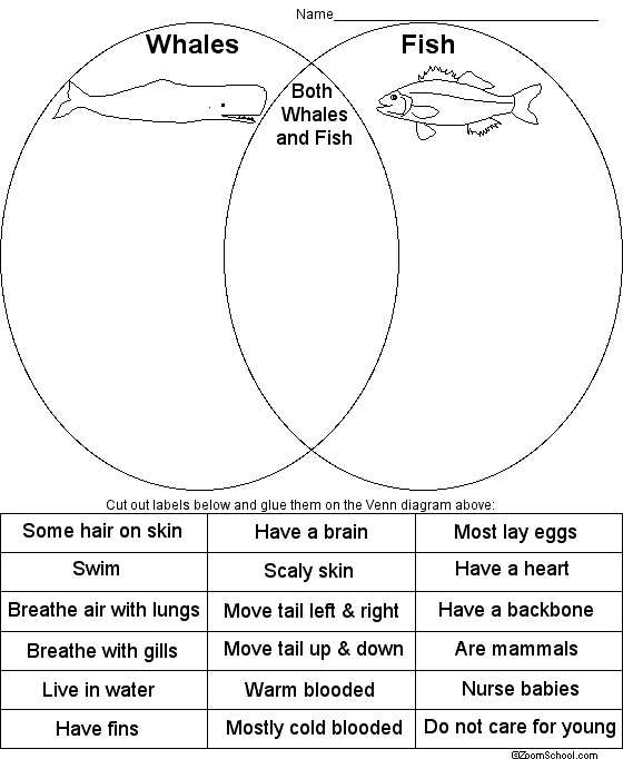 Whales vs. Fish Venn Diagram Print-out - Enchanted Learning Software