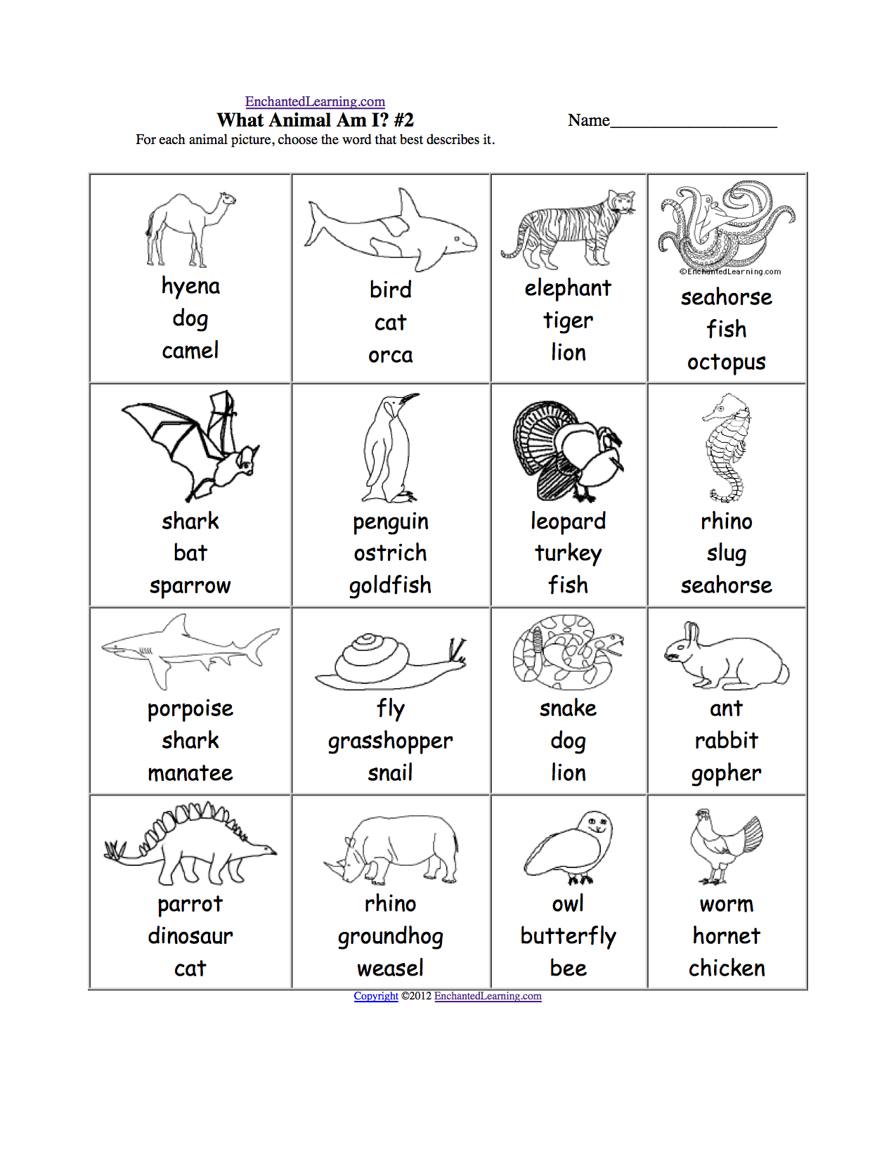 Animal Worksheet Grade 2