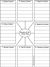 write human body system words by category printable worksheet