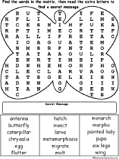 butterfly wordsearch