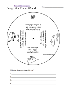 Frog Life Cycle Wheel: Printable Worksheet - EnchantedLearning.com