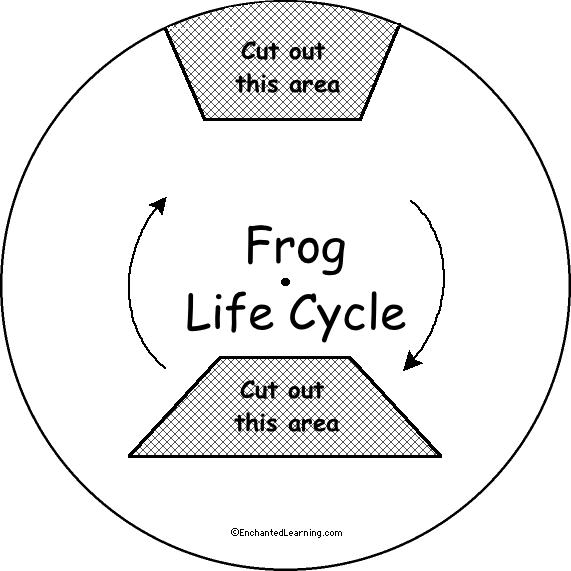 Word Wheel - Top