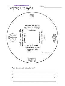 Word Wheel