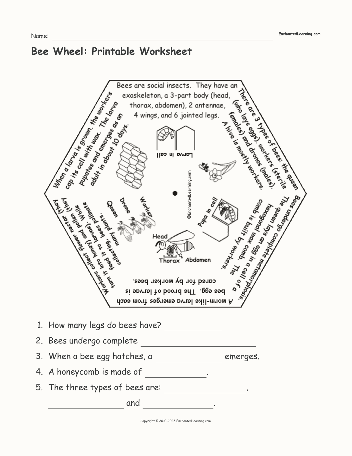 Bee Wheel: Printable Worksheet interactive printout page 1