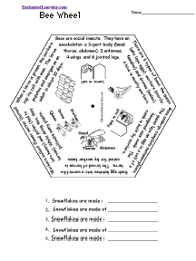 Search result: 'Bee Wheel - Bottom: Printable Worksheet'