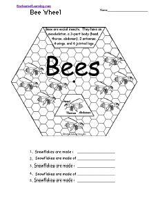 Search result: 'Bee Wheel: Printable Worksheet'