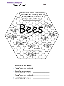 Search result: 'Life Cycle Wheels: Printable Worksheet'