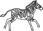 zebra